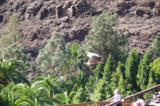 GC-Plalmitos Park 2019-023.JPG